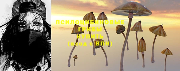 mdpv Богданович