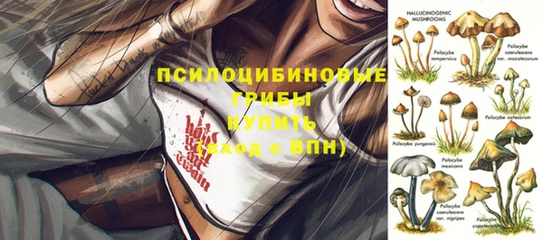 прущая мука Богородицк