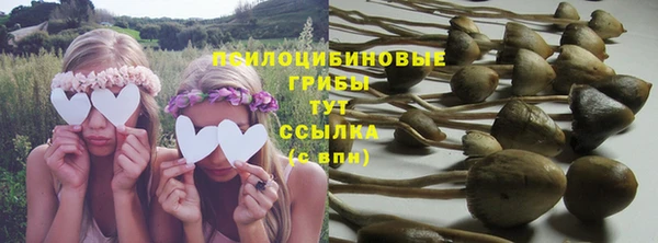 прущая мука Богородицк