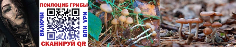 Псилоцибиновые грибы GOLDEN TEACHER  закладка  Когалым 